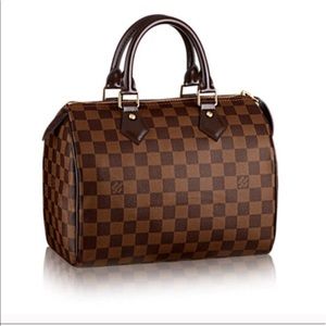Louis Vuitton Speedy 25 in Damier ebene